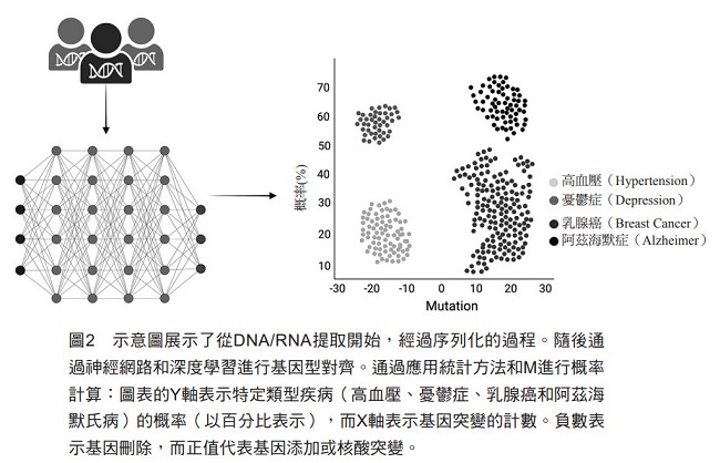 圖2 示意圖展示了從DNA/RNA提取開始,經過序列化的過程。隨後通過神經網路和深度學習進行基因型對齊。通過應用統計方法和M進行概率計算:圖表的Y軸表示特定類型疾病(高血壓、憂鬱症、乳腺癌和阿茲海默氏病)的概率(以百分比表示),而X軸表示基因突變的計數。負數表示基因刪除,而正值代表基因添加或核酸突變。