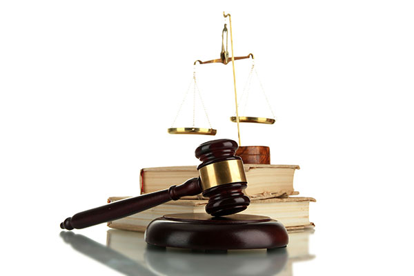 論會計師懲戒之裁罰性不利處分